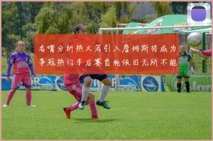 名嘴分析热火若引入詹姆斯将成为争冠热门季后赛首轮依旧无所不能