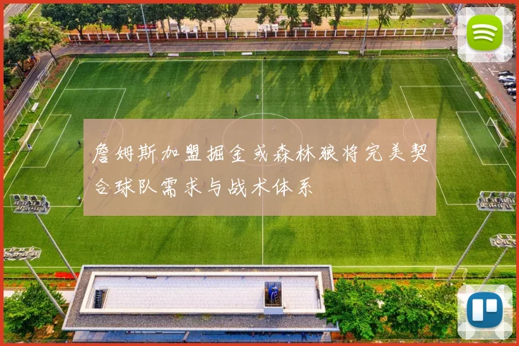 詹姆斯加盟掘金或森林狼将完美契合球队需求与战术体系