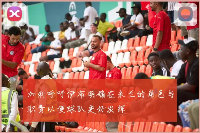 加利呼吁伊布明确在米兰的角色与职责以便球队更好发挥