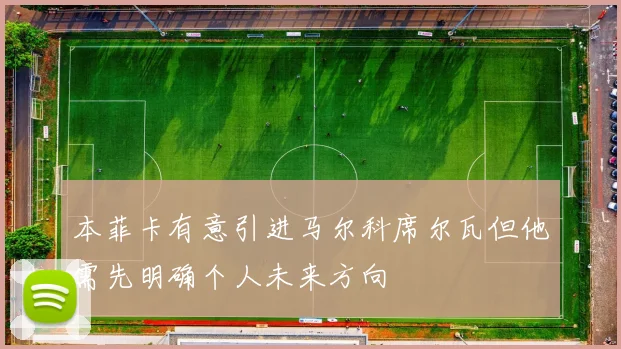 本菲卡有意引进马尔科席尔瓦但他需先明确个人未来方向